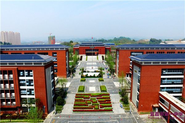 我校心防案例荣获省平安校园创建优秀案例