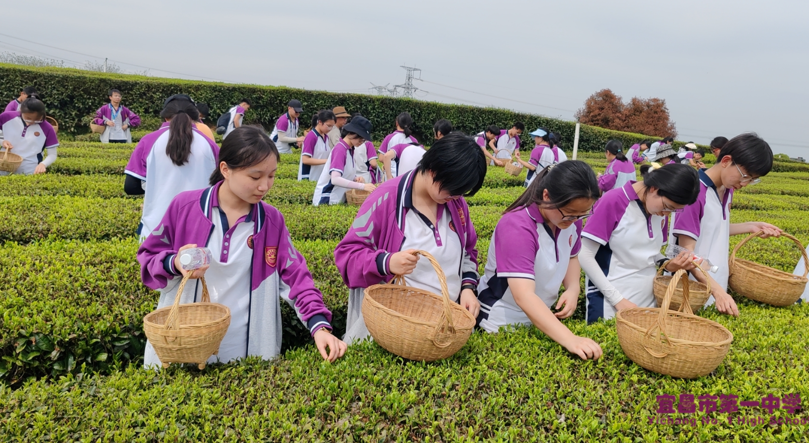 一中学子春日“学工学农”小记