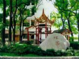 【校友活动】百年老校展风采&nbsp;&nbsp;莘莘学子摄影忙