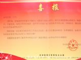 一中学子表现优异，华科大喜报相送