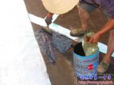 我校体育馆进行全面屋顶防水维修