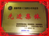 我校学生在宜昌市第十三届青少年科技节获奖名单