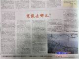 花开有声，成长无限——寒假社会实践感悟