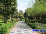 花开一中 香满校园