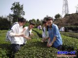 【学工学农】201203班---访人民公社&nbsp;采车溪之茶
