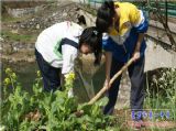 【学工学农】201204班---参加一中学农活动有感