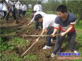 【学工学农】201214班---进农家感受和体验农耕生活