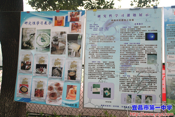 第十九届科技节系列报道(九)：研究性学习成果展示