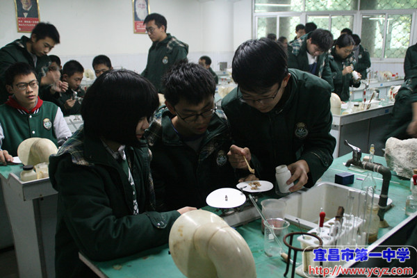 第十九届科技节系列报道(八)：化学实验操作竞赛