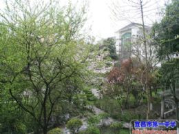 一中，带你走进春天里——美丽校园之春天篇