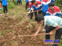 2013级学工学农系列报道之四：201308班学工学农记
