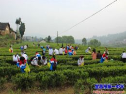 2013级学工学农系列报道之八：践行渐知--随行家长学农感想之一