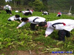 2013级学工学农系列报道之十四：学工学农家长感悟之三