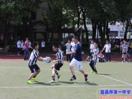 2015年春季球类运动会系列报道之八：重在参与