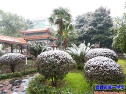 2016年的第一场雪