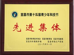 宜昌市第十五届青少年科技节闭幕，我校取得优异成绩