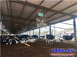 我校青年教师到俏牛儿牧业有限公司生产基地开展社会实践活动