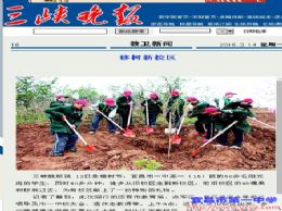 三峡晚报：移树新校区
