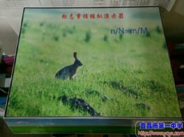 生物组在教具评选活动中荣获一等奖