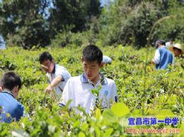 2014级学工学农系列报道之十三：窗外的世界