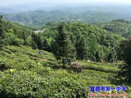 2014级学工学农系列报道之十四：青春在实践中成长