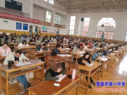 王鑫老师从全市美术教师基本功大赛上载誉归来