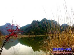 三八宏图展，远安春意浓——化学组开展庆妇女节活动