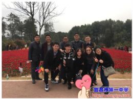 看春光正好，赏天地之美