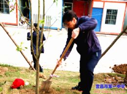 市教育局机关干部到我校新校区开展义务植树活动