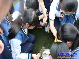 【关注2017年高考】天公作美，轻松上阵——趣味运动会开心进行