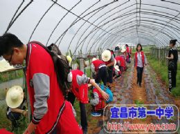 1612&nbsp;学工学农感想