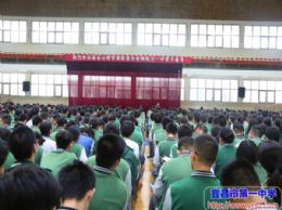 调适情绪，迎接挑战