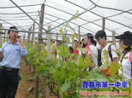 践行渐知—1616班学工学农