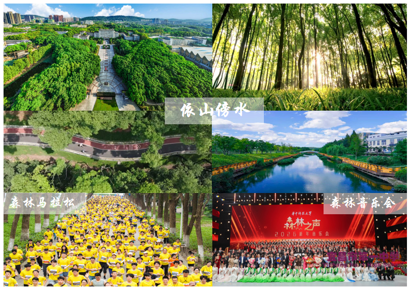 图片 6.png