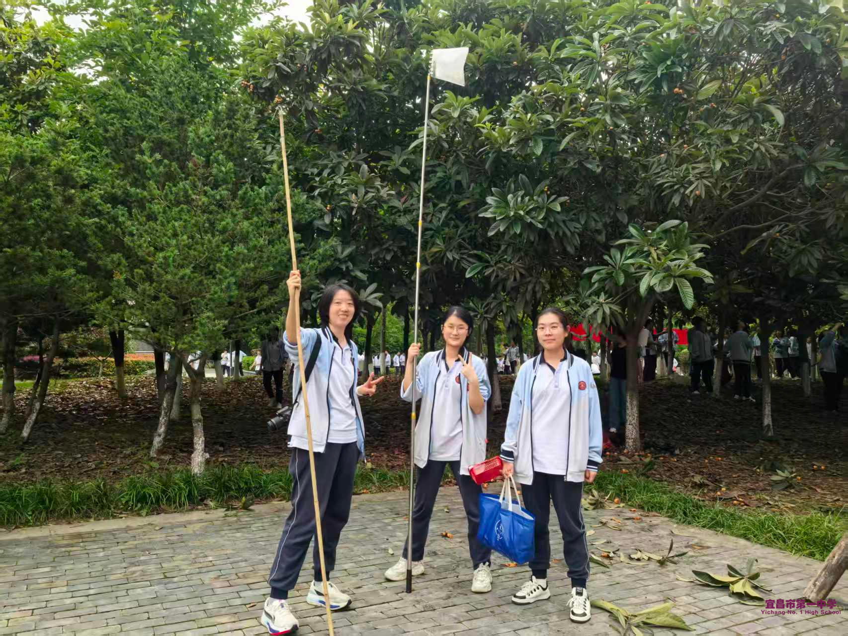 图片 8.png